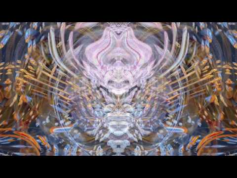 Tipper Ambient Set @ CoSM Alex Grey Art HD