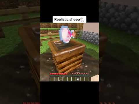 Realistic sheep found in Minecraft! #shorts