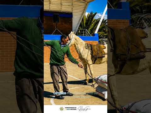 Día del Campesino