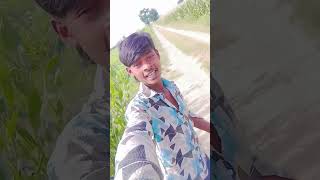 Download lagu #movie #bollywood #hindisong #film hi nahi AA y mp3