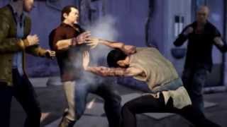 sleeping dogs drunken fist pack