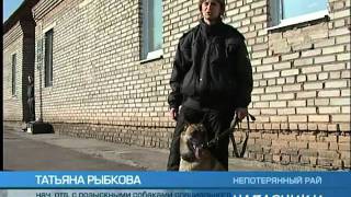 Напарники