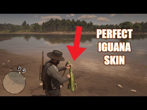 Red Dead Redemption 2 - Perfect Iguana Skin Location
