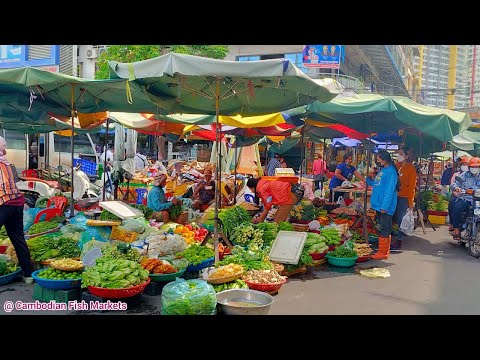 Daily Morning Fish Market in Phnom Penh 2022 [Cambodian Fish Markets]
