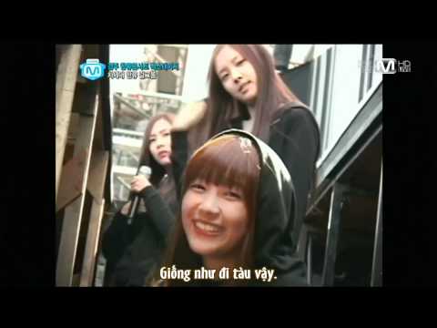 [Vietsub] 111006 A Pink Hallyu Dream Concert News