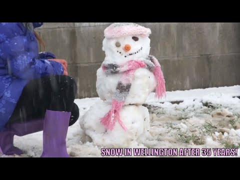 Wellington NZ Snow Highlights (Snow after 35 years)