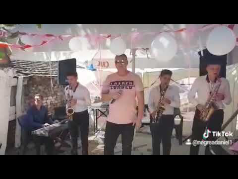 Dani  Negrea și Formația