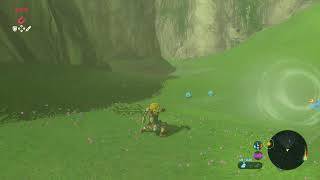 ゼルダの伝説　ブレスオブザワイルド　初見実況プレイ