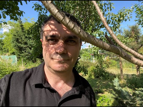 Mos e përdorni per keq zbulimin tim se fjala gjuhe dhe shqip vijnë nga gjuha Sanskrite