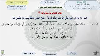 صورة شرح الجامع الكبير للترمذي : باب قوله : نفس المؤمن معلقة بدينه - الحديث 1094 || ماهر ياسين الفحل