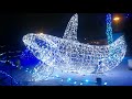 Detroit Zoo Lights 6