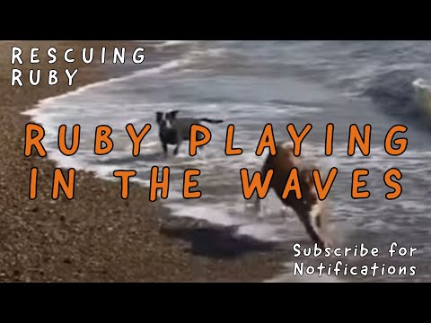 Ruby playing in the Waves | Sofia (Supermumma) from Takis Shelter