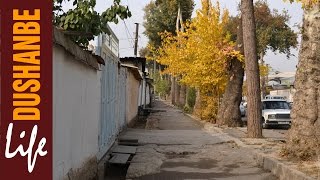 preview picture of video 'Осень в Душанбе #3 (Поворот на пивзавод, бывший Индустриальный техникум, киностудия Таджикфильм)'