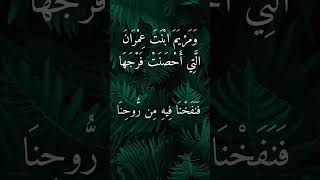 Download lagu Surah At-tahrim 11--12 mp3