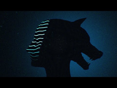 MY BRIGHTEST DIAMOND | Dorian (Official Video)