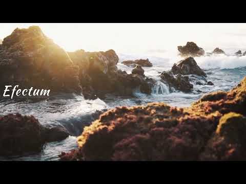 #nature #naturephotography #lovenature #landscape  #travelphotography #beauty #tree #animals #ocean