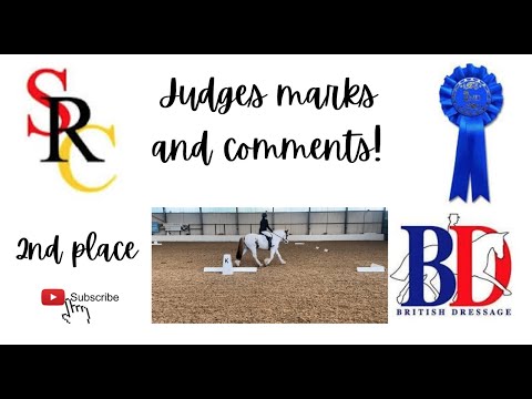 British Dressage Test On Bailey: Prelim 7