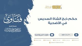 حكم ذبح الشاة السديس في الأضحية - للشيخ عبدالرحمن البراك (9461) image