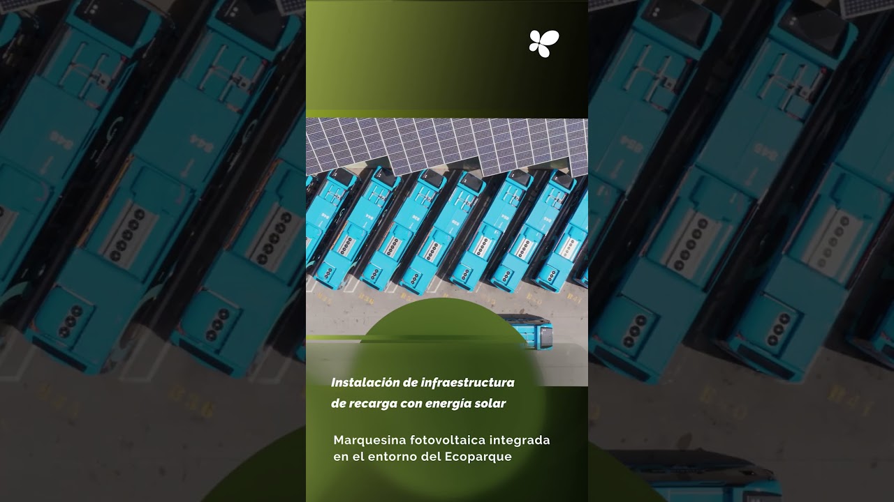 Palma da un impulso a su red de transporte más sostenible