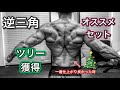 逆三ツリーを作る背筋を鍛えるおすすめセット[Back Workout]