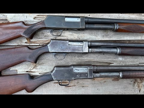Good 20ga Field Shotgun? - Stevens 555 Review and Test
