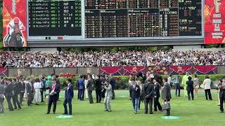 2025年 第92回 日本ダービー GⅠ パドック