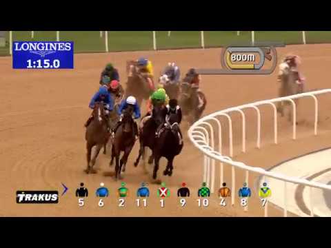COSMO CHARLIE - Al Bastakiya (L) - Meydan - 04/03/2017
