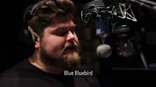 Video thumbnail for Blue Bluebird vs. Blue Kiwi (Male) | VO Mic Comparison by VOscripts