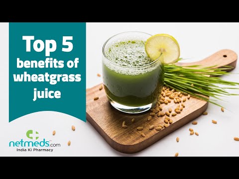 Wheat grass extract, 1kg to 25kg