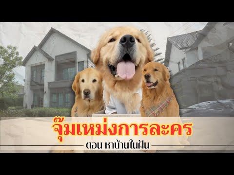 จุ๊มเหม่งการละคร ตอน หมาซมซานหาบ้านในฝัน