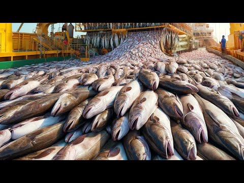 American Fishermen Catch Billions of Pounds of Seafood This Way