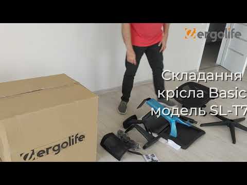 Эргономичное кресло Basic SL-T75: управление одним рычагом, 11 регулировок, крестовина-нейло, сетка Черная - фото 1 - id-p2025700723