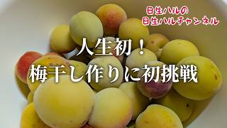 【梅干し】初めての梅仕事、梅干しのはちみつ漬けを作ってみた
