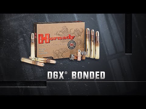 Náboj kulový Hornady, Dangerous Game, .375 HH Magnum, 300GR (19,4g), DGX Bonded