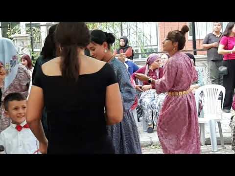 Erik dalı (Potbori )AKŞEHİR Bermende savaş mah Feruh Erkekli &Akşehir içinden Rabia sert çiftin kına