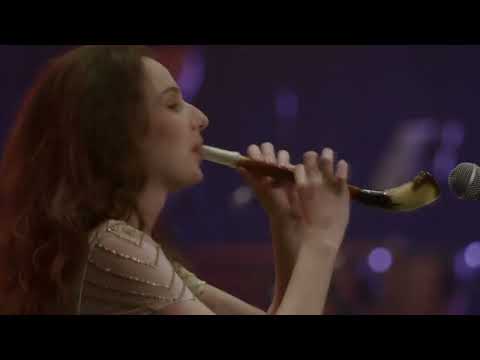 OTTA-orchestra. "Willow Branch"/ "Ветка ивы" (2024)