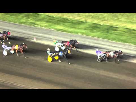 Shake It Cerry Headlines TVG Free For All Mares Trot