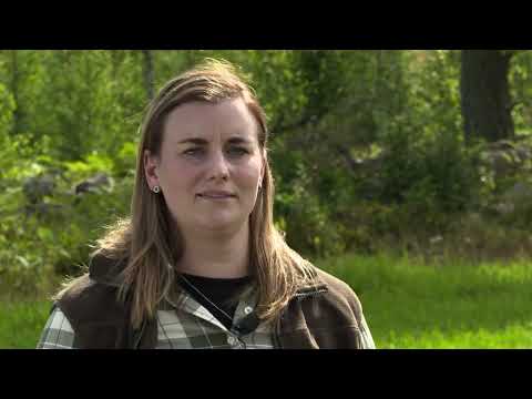 Samverkan vid viltförvaltning 1: Vad händer om vi inte samverkar?