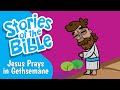 Jesus Prays in Gethsemane | Stories of the Bible