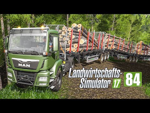 LS17 Forst #84 - Hackschnitzel zur Sicherung! I LANDWIRTSCHAFTS-SIMULATOR 17