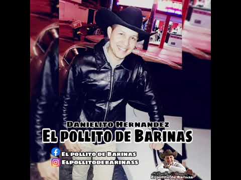 el pollito de barinas mix de exitos