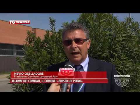 TG VENEZIA (12/04/2017) - ALLARME DEI COMITATI, IL COMUNE: «PRESTO UN PIANO»