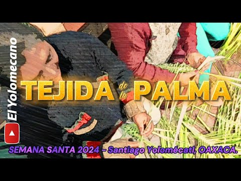 TEJIDA DE LA PALMA - Semana Santa 2024🌾✝️ | Santiago Yolomécatl, OAXACA