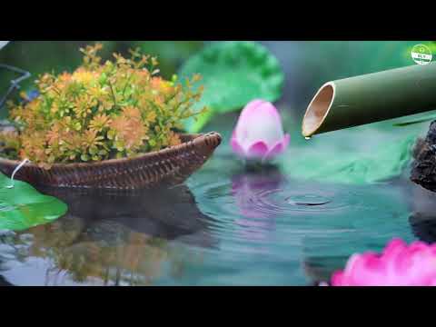Relaxing Piano Music and Water Sounds - Bamboo, Calming Music, Meditation Music, Nature Sounds, Spa