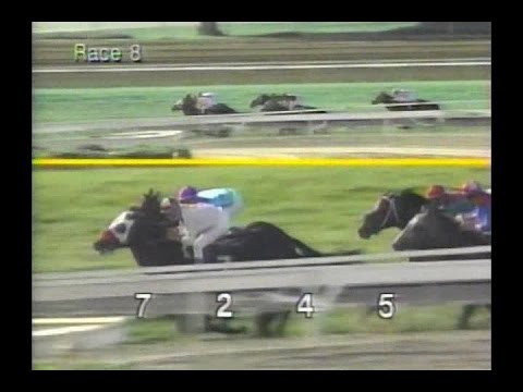 1993 El Rincon Handicap