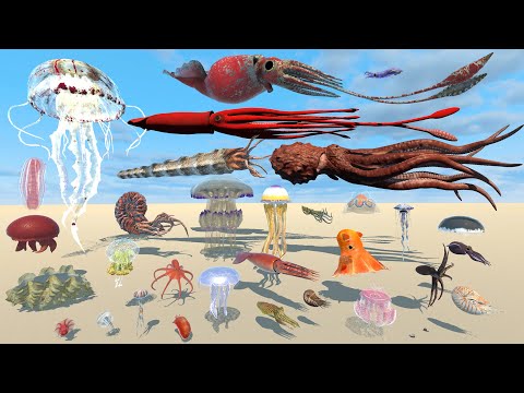 Realistic Mollusk Vs Jellyfish Size Comparison - 3D Animation Comparison