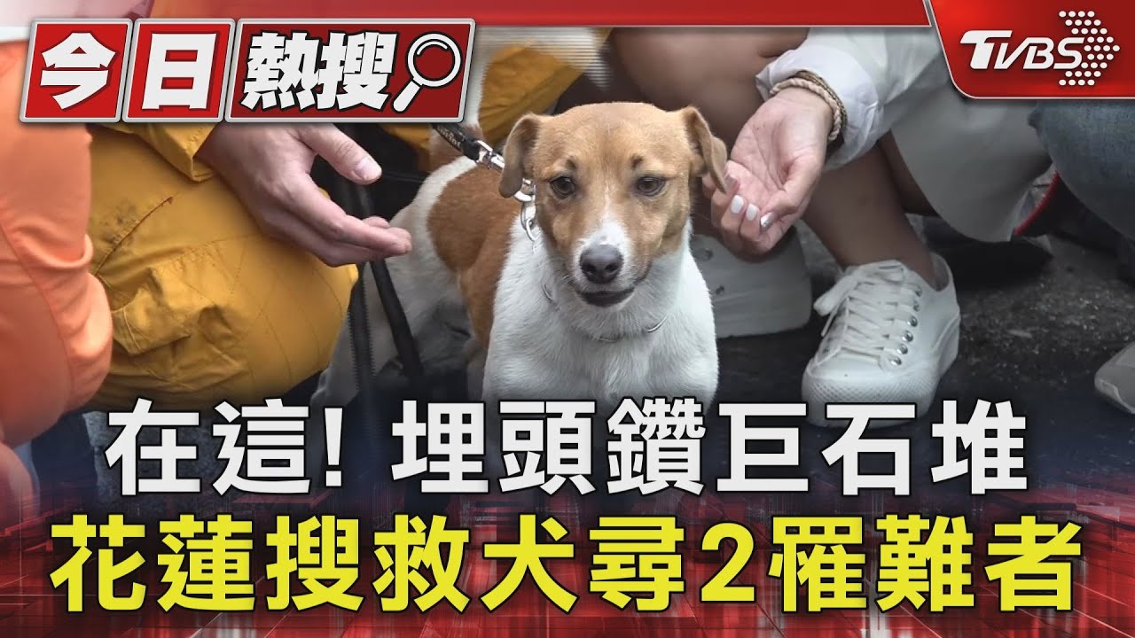 在這!埋頭鑽巨石堆 花蓮搜救犬尋2罹難者