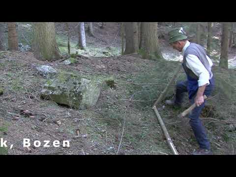 Schritt für Schritt zum "Strebtuter"/"Waldtuter"