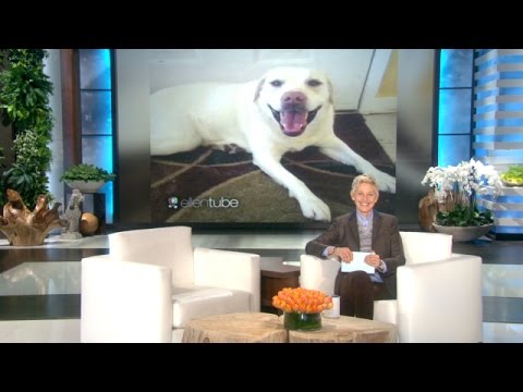 ellentubeで他の素晴らしい動画を見る (More Awesome Videos on ellentube!)