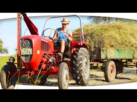 make hay with german oldtimer tractor and finger bar mower